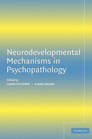 Kniha Neurodevelopmental Mechanisms in Psychopathology Dante Cicchetti