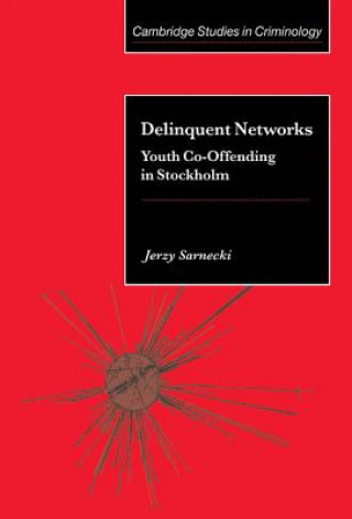 Könyv Delinquent Networks Jerzy (Stockholms Universitet) Sarnecki