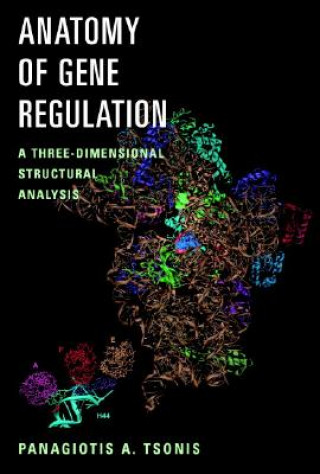 Kniha Anatomy of Gene Regulation Panagiotis Antonios Tsonis