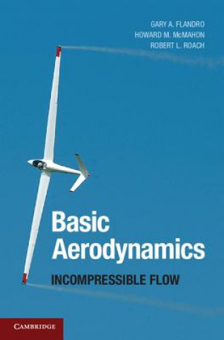 Kniha Basic Aerodynamics Gary A. Flandro