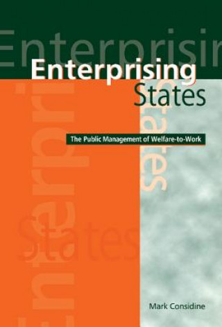 Βιβλίο Enterprising States Mark Considine