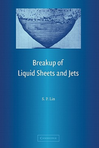Carte Breakup of Liquid Sheets and Jets Sung P. Lin