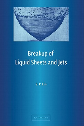 Książka Breakup of Liquid Sheets and Jets Sung P. Lin