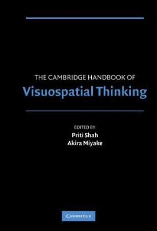 Könyv Cambridge Handbook of Visuospatial Thinking Akira Miyake