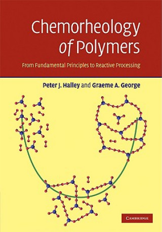 Könyv Chemorheology of Polymers Peter J. HalleyGraeme A. George