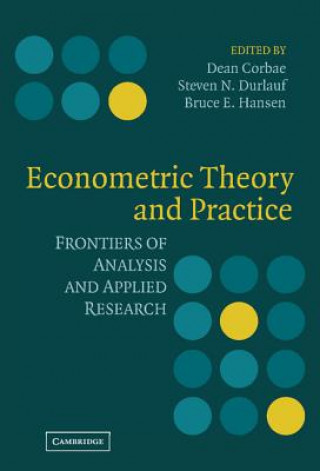 Könyv Econometric Theory and Practice Dean Corbae