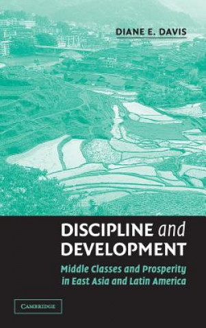 Kniha Discipline and Development Diane E. Davis