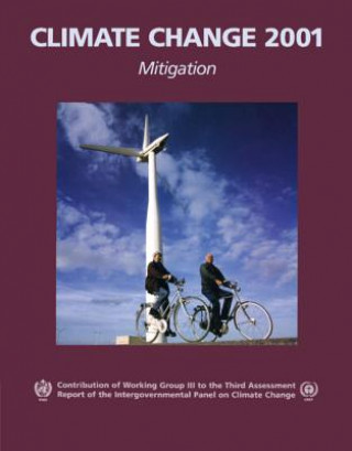 Книга Climate Change 2001: Mitigation Ogunlade Davidson