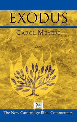 Kniha Exodus Carol L. Meyers