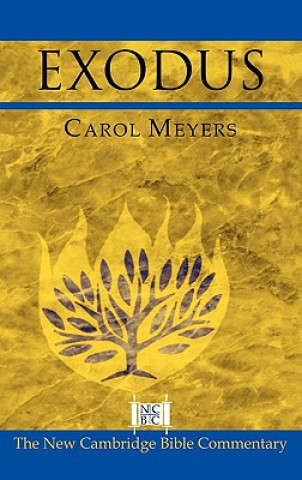 Buch Exodus Carol L. Meyers