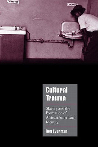 Libro Cultural Trauma Eyerman