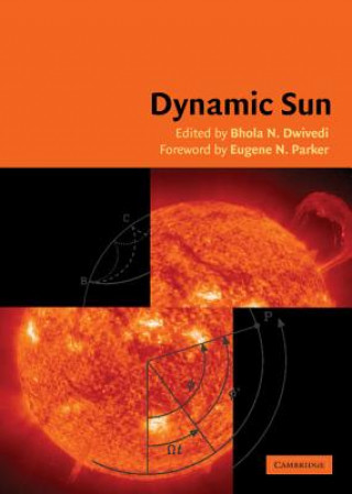 Βιβλίο Dynamic Sun B. N. DwivediE. N. Parker