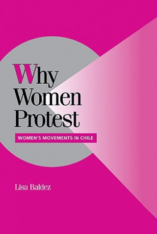 Knjiga Why Women Protest Lisa Baldez