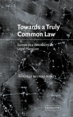 Kniha Towards a Truly Common Law Mireille Delmas-MartyNaomi Norberg