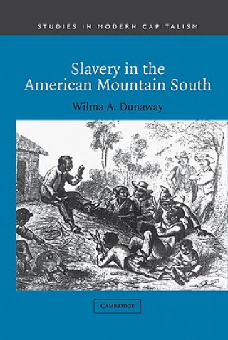 Carte Slavery in the American Mountain South Wilma A. Dunaway