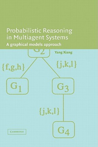 Книга Probabilistic Reasoning in Multiagent Systems Yang Xiang