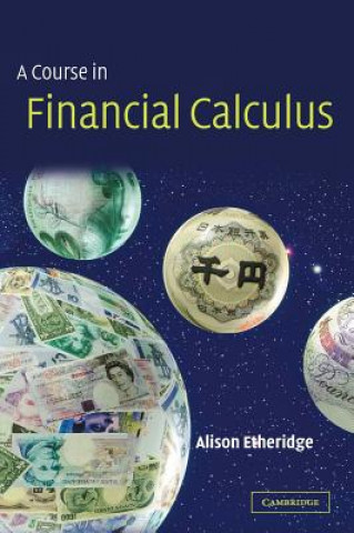 Livre Course in Financial Calculus Alison Etheridge