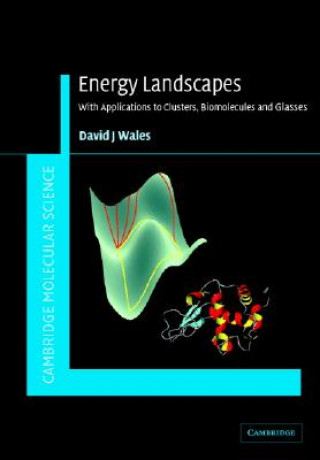 Könyv Energy Landscapes David Wales