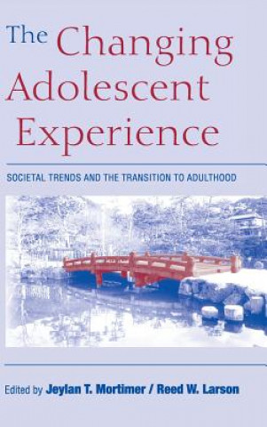 Książka Changing Adolescent Experience Jeylan T. MortimerReed W. Larson