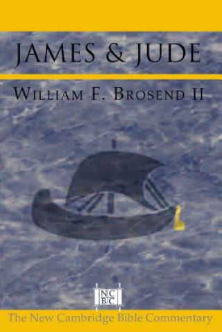 Kniha James and Jude William F. Brosend