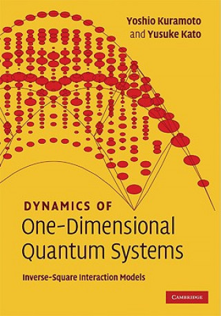 Könyv Dynamics of One-Dimensional Quantum Systems Yoshio KuramotoYusuke Kato