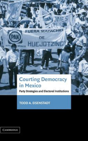 Kniha Courting Democracy in Mexico Todd A. Eisenstadt