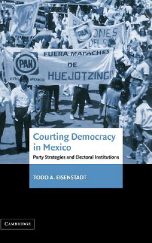 Könyv Courting Democracy in Mexico Todd A. Eisenstadt