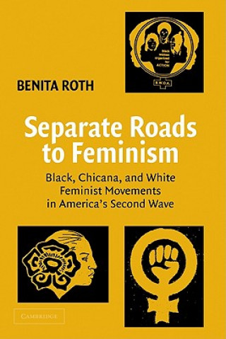 Книга Separate Roads to Feminism Benita Roth