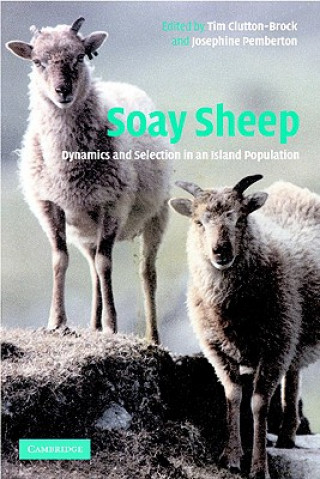 Könyv Soay Sheep T. H. Clutton-BrockJ. M. Pemberton