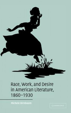 Könyv Race, Work, and Desire in American Literature, 1860-1930 Michele Birnbaum