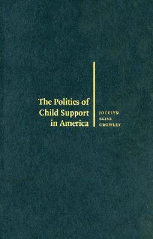 Buch Politics of Child Support in America Jocelyn Elise Crowley