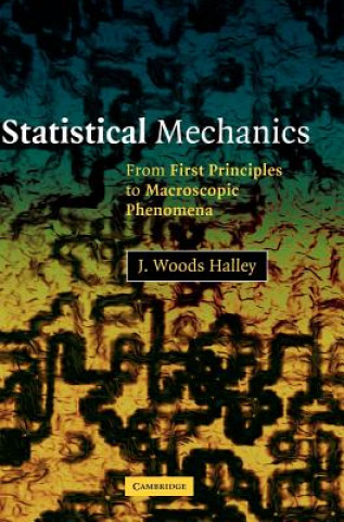 Könyv Statistical Mechanics J. Woods Halley