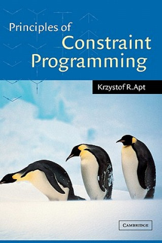 Carte Principles of Constraint Programming Krzysztof Apt
