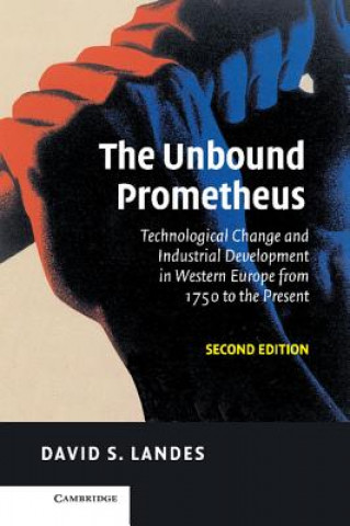 Buch Unbound Prometheus David S. Landes