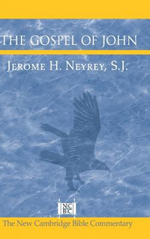 Kniha Gospel of John Jerome H. Neyrey