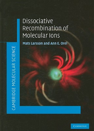 Könyv Dissociative Recombination of Molecular Ions Mats LarssonAnn E. Orel
