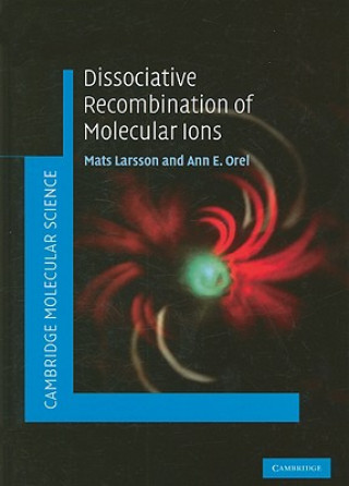 Książka Dissociative Recombination of Molecular Ions Mats LarssonAnn E. Orel