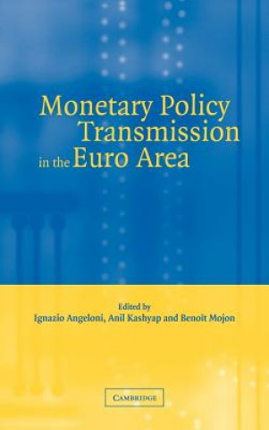 Książka Monetary Policy Transmission in the Euro Area Ignazio AngeloniAnil K. KashyapBenoît Mojon