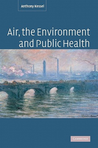 Kniha Air, the Environment and Public Health Anthony Kessel