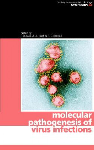 Kniha Molecular Pathogenesis of Virus Infections P. DigardA. A. NashR. E. Randall