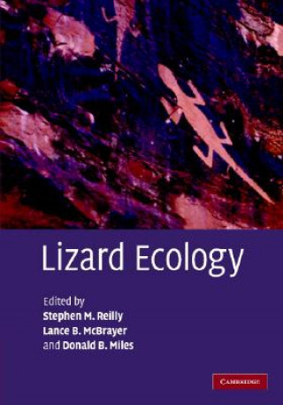 Kniha Lizard Ecology Stephen M. Reilly