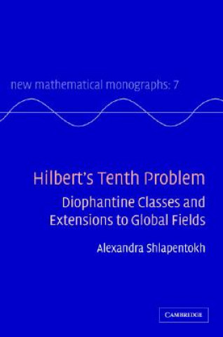 Knjiga Hilbert's Tenth Problem Alexandra Shlapentokh