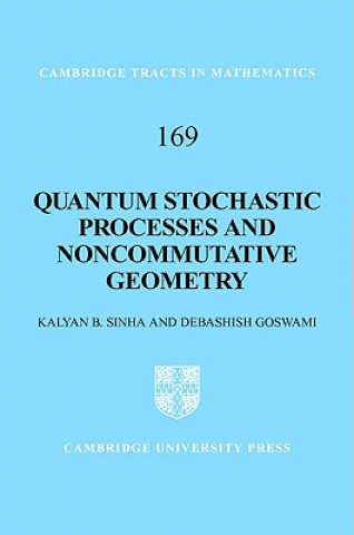 Kniha Quantum Stochastic Processes and Noncommutative Geometry Kalyan B. SinhaDebashish Goswami