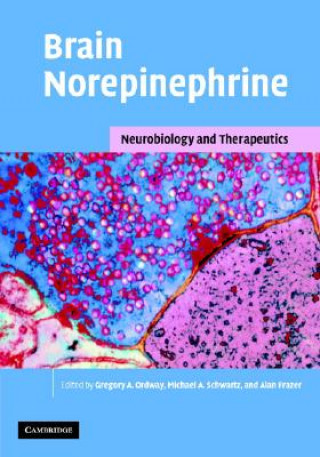 Könyv Brain Norepinephrine Gregory A. OrdwayMichael A. SchwartzAlan Frazer