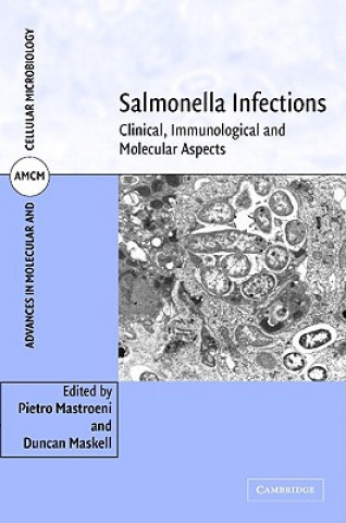 Könyv Salmonella Infections Pietro MastroeniDuncan Maskell