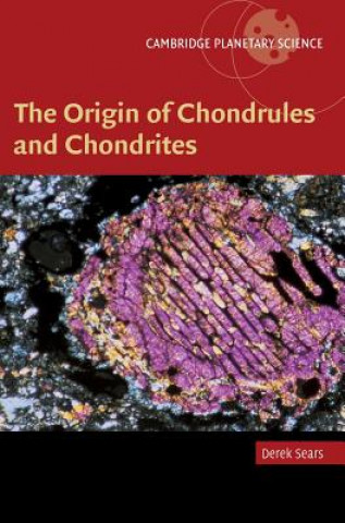 Książka Origin of Chondrules and Chondrites Derek W. G. Sears