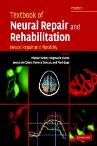 Buch Textbook of Neural Repair and Rehabilitation 2 Volume Hardback Set Michael SelzerStephanie ClarkeLeonardo CohenPamela Duncan