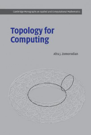 Carte Topology for Computing Afra J. Zomorodian