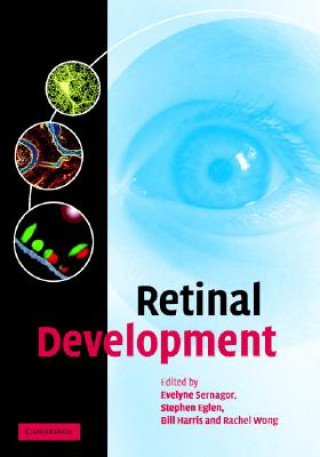 Book Retinal Development Evelyne SernagorStephen EglenBill HarrisRachel Wong