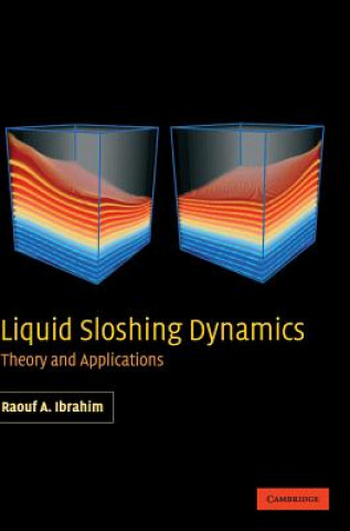 Könyv Liquid Sloshing Dynamics Raouf A. Ibrahim